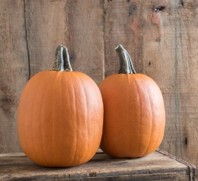 Pumpkin Howden